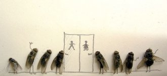 dead_flies_art_07.jpg