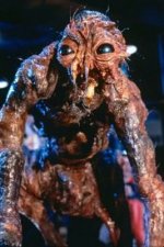 tn_Horror--TheFly.jpg