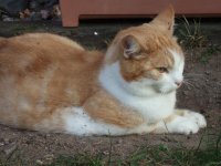 DSCF0219.jpg