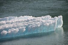IMG_3248.jpg