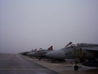 n518209545_1925448_3230.jpg