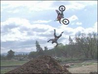 mx_crash.jpg