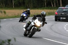 IMG_7332.jpg