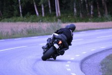IMG_7334.jpg