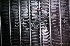 IMAG0303.jpg