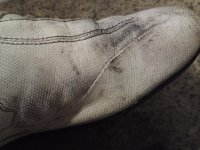 20100820206.jpg