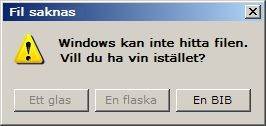 Windows error message.jpg