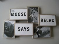 moose.jpg