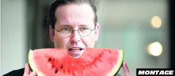 melon-borg_1268075l.jpg