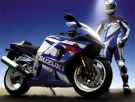 suzuki gsxr skinnställ.jpg