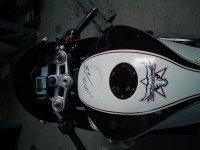 DSC01764.jpg