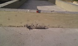 IMAG0410.jpg