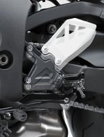 zx10fotpinnar.jpg