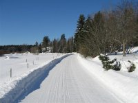 vinter.jpg