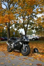 Plåtning-av-GiXXeR-2010_042.jpg