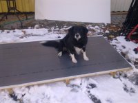Bild0223.jpg