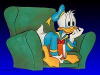blog-whiking-se-kalle-anka.jpg