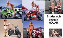 Bike Babes mix.jpg