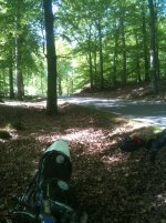 bild4.jpg