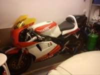 fzr.jpg