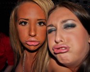kissieduck.jpg