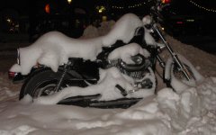 IMG_2177.jpg