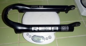 reba-lowers-07.JPG