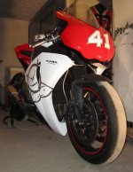 IMG_0033_cropped.jpg