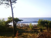20110208368.jpg
