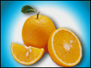 citrus.gif