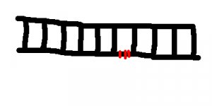 najadkedja.jpg