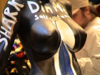 DSC00454.JPG