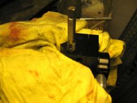 IMG_2335.jpg
