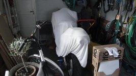 DSC01444.jpg