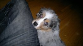 20110303210.jpg