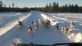 20110303212.jpg