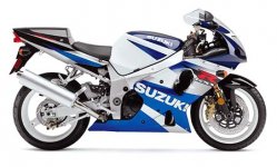 2002_GSX-R1000_blue_450.jpg