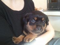2011-03-12 11.15.06.jpg