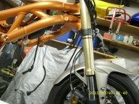 SV 650 361.jpg