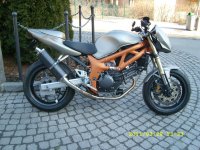 SV 650 391.jpg