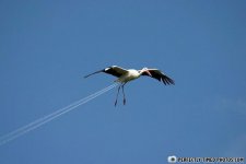 !cid_ca1f28aefb84c944e63dcf5ab9adeb68@bredband.jpg
