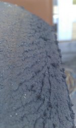 IMAG0281.jpg