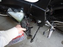 DSC08193.jpg