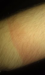 IMAG0093.JPG