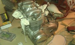 IMAG0104.jpg