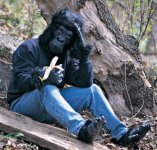 Gorilla.JPG