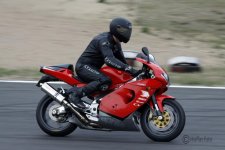 _MG_4568red.jpg