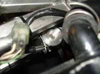 TZ 11.jpg