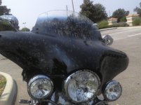 Mygg på motorcykel.jpg