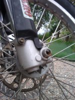 IMG_20110517_161954.jpg